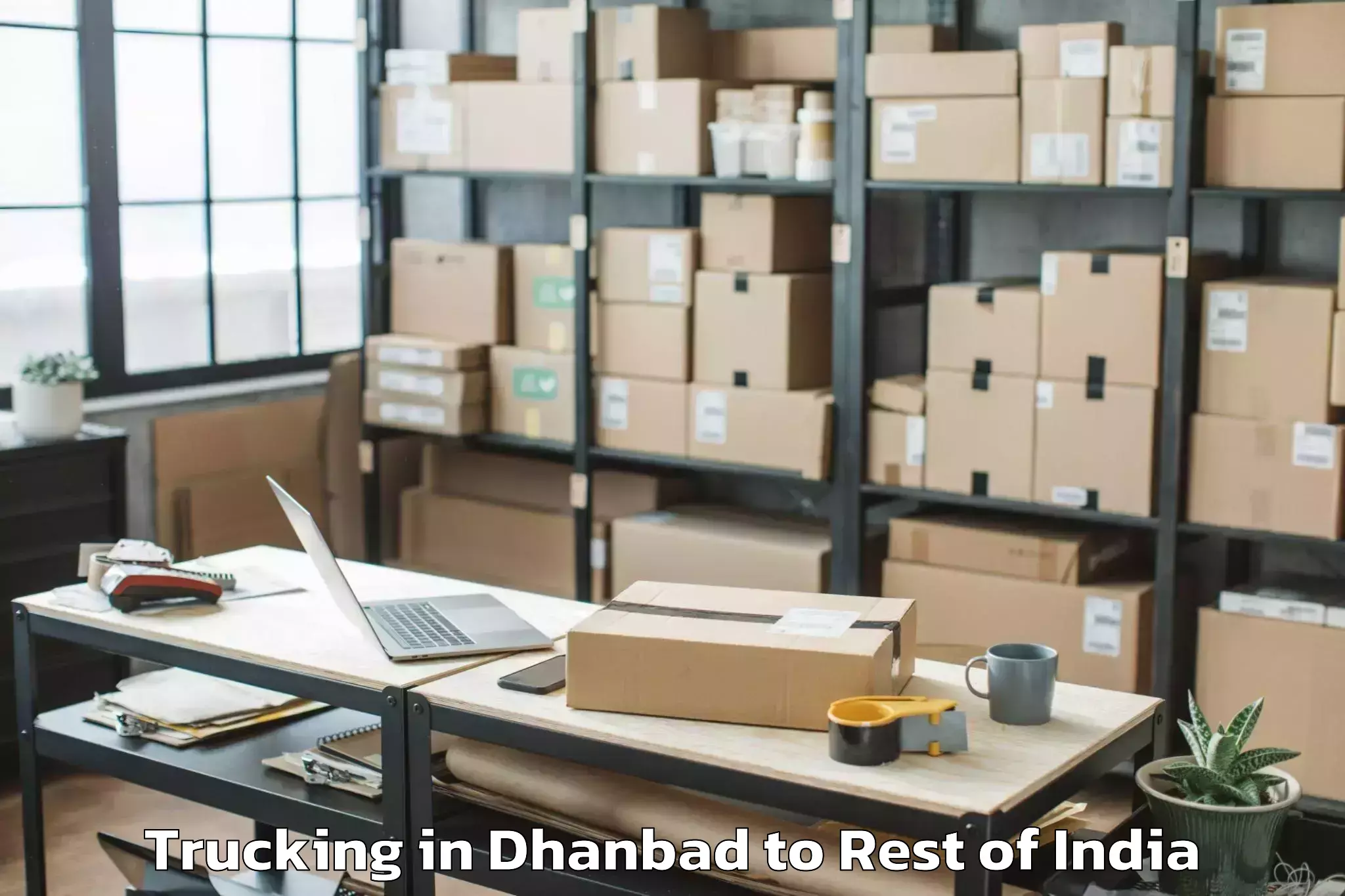 Book Dhanbad to Bishama Katek Trucking Online